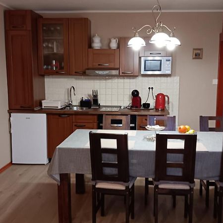 Apartment Medo Ravna Gora Dış mekan fotoğraf