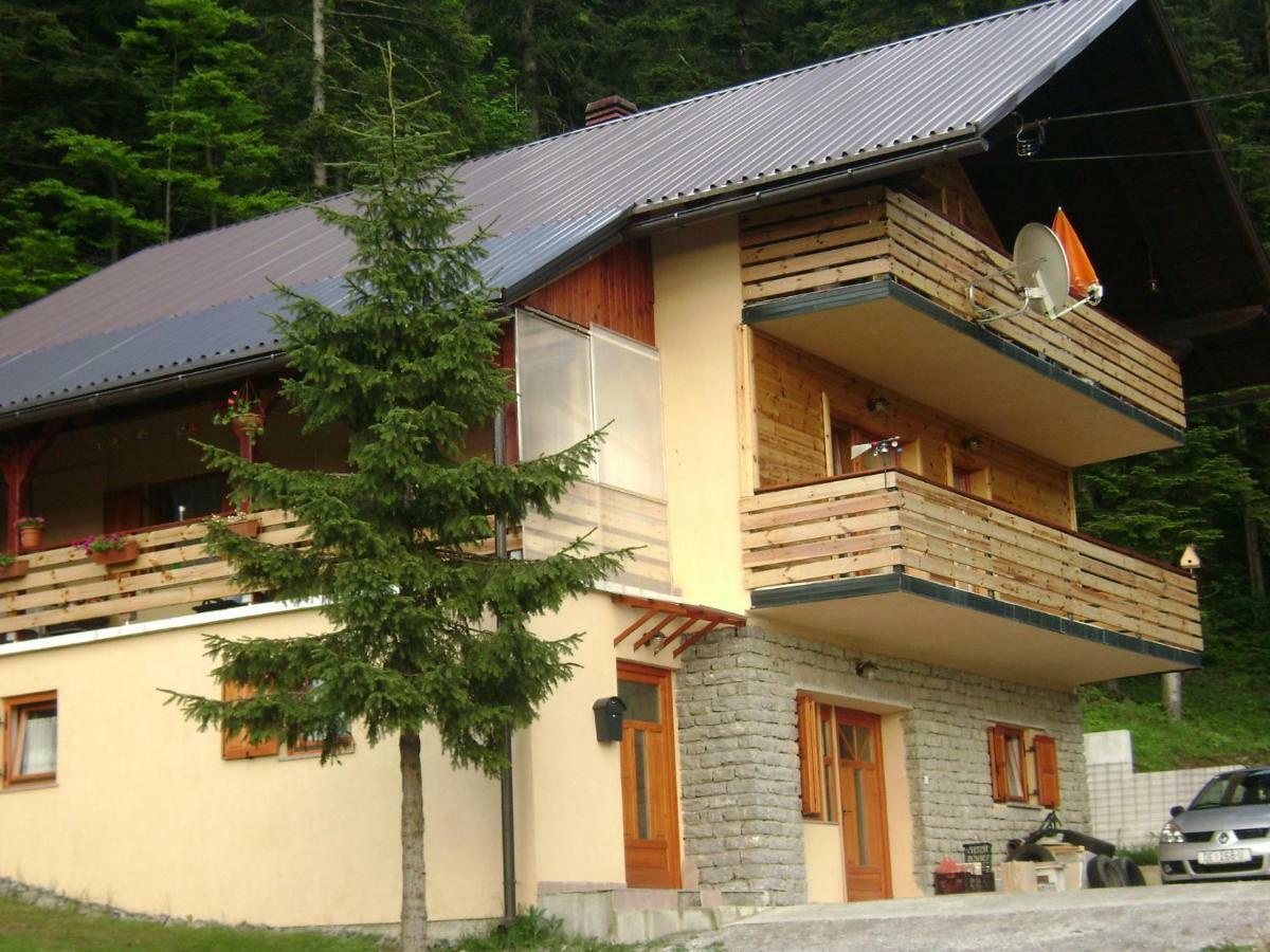 Apartment Medo Ravna Gora Dış mekan fotoğraf
