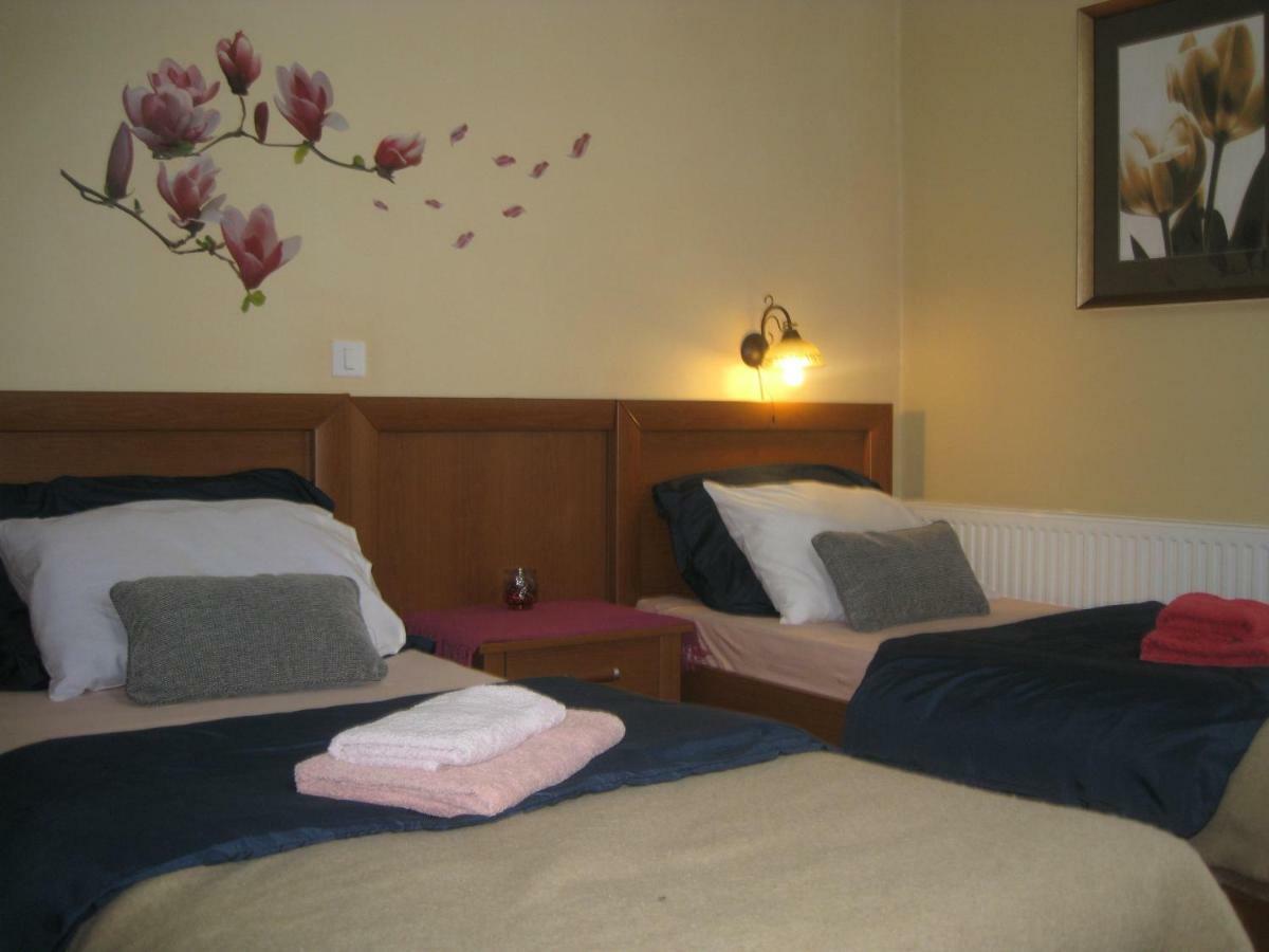 Apartment Medo Ravna Gora Dış mekan fotoğraf